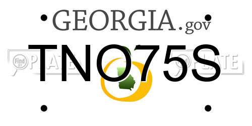 TNO75S Georgia License Plate