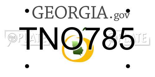 TNO785 Georgia License Plate