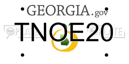 TNOE20 Georgia License Plate