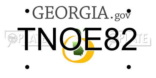 TNOE82 Georgia License Plate