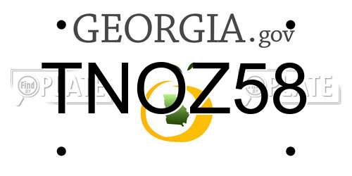 TNOZ58 Georgia License Plate