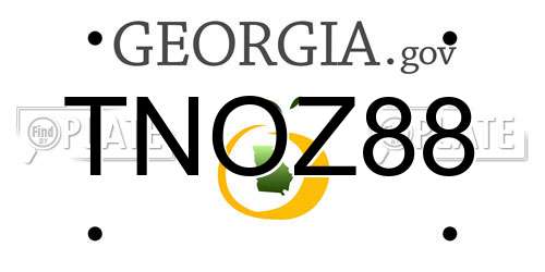 TNOZ88 Georgia License Plate