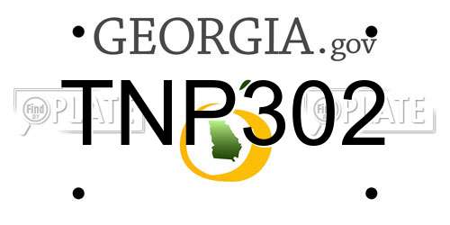 TNP302 Georgia License Plate