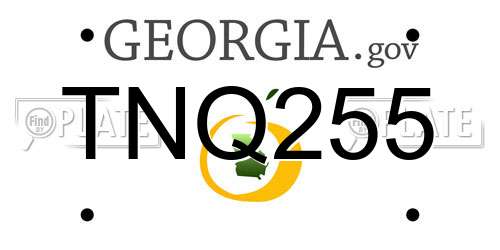 TNQ255 Georgia License Plate