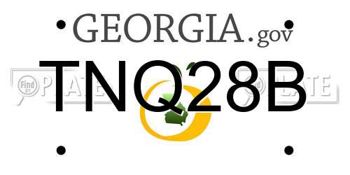TNQ28B Georgia License Plate