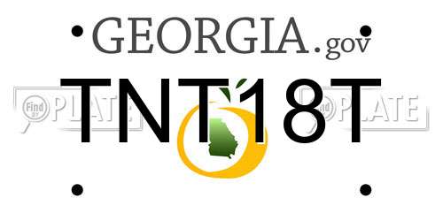 TNT18T Georgia License Plate