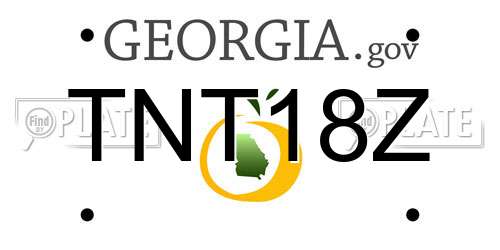 TNT18Z Georgia License Plate