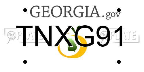 TNXG91 Georgia License Plate