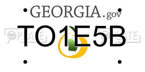 TO1E5B Georgia License Plate
