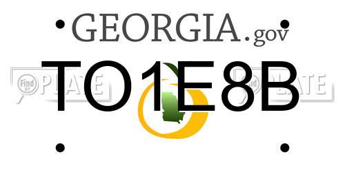 TO1E8B Georgia License Plate