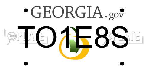 TO1E8S Georgia License Plate