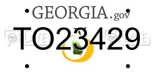 TO23429 Georgia License Plate
