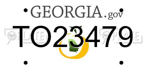 TO23479 Georgia License Plate