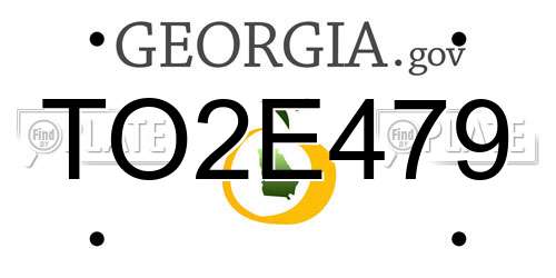 TO2E479 Georgia License Plate