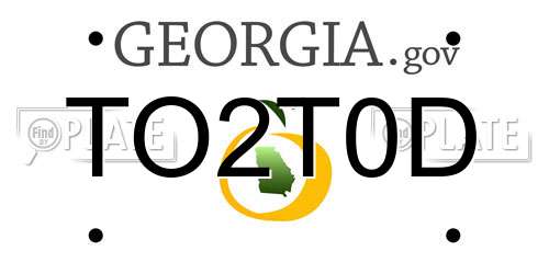 TO2T0D Georgia License Plate