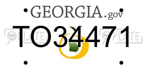 TO34471 Georgia License Plate
