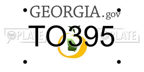 TO395 Georgia License Plate