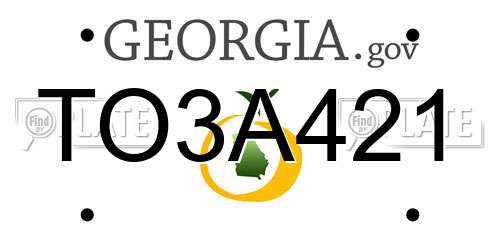 TO3A421 Georgia License Plate