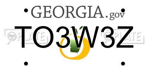 TO3W3Z Georgia License Plate