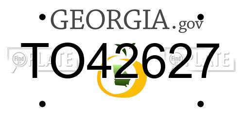 TO42627 Georgia License Plate