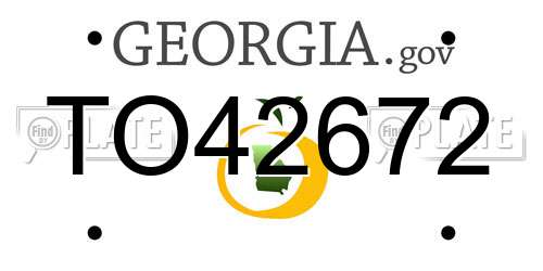 TO42672 Georgia License Plate