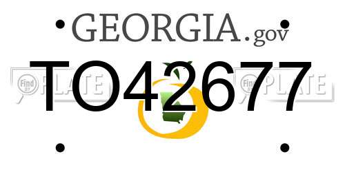 TO42677 Georgia License Plate