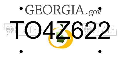TO4Z622 Georgia License Plate