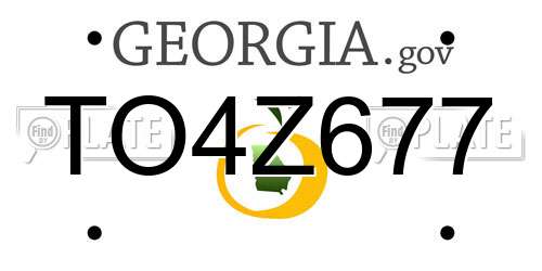 TO4Z677 Georgia License Plate