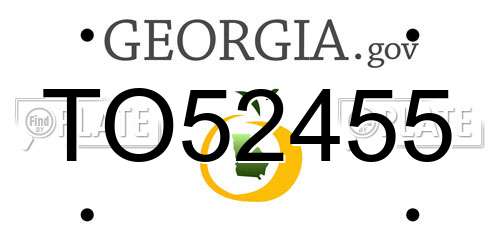 TO52455 Georgia License Plate