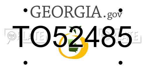 TO52485 Georgia License Plate