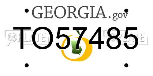 TO57485 Georgia License Plate