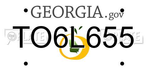 TO6L655 Georgia License Plate
