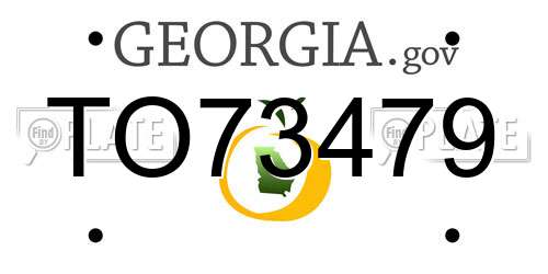 TO73479 Georgia License Plate