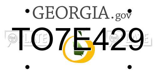 TO7E429 Georgia License Plate