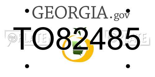TO82485 Georgia License Plate