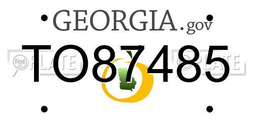 TO87485 Georgia License Plate