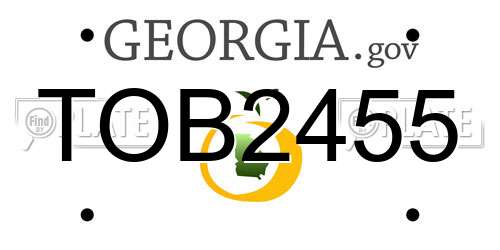 TOB2455 Georgia License Plate