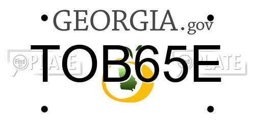 TOB65E Georgia License Plate