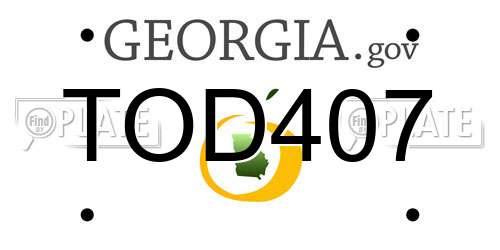 TOD407 Georgia License Plate