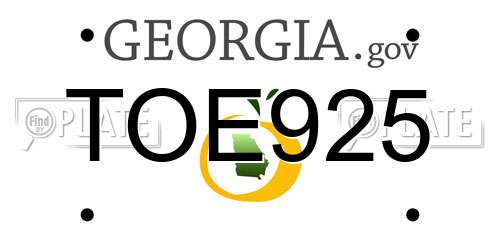 TOE925 Georgia License Plate
