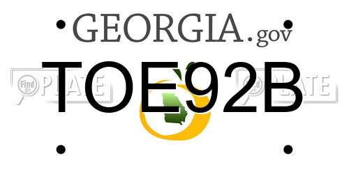 TOE92B Georgia License Plate