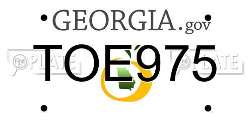 TOE975 Georgia License Plate