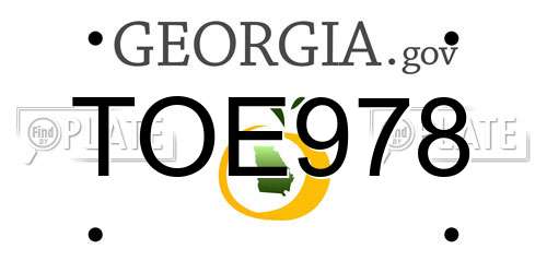TOE978 Georgia License Plate