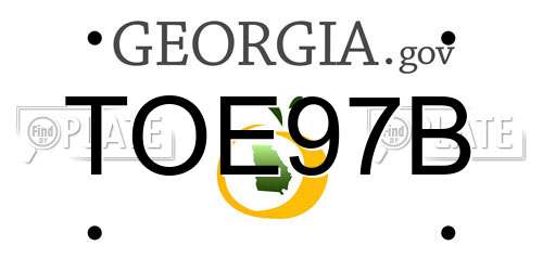 TOE97B Georgia License Plate