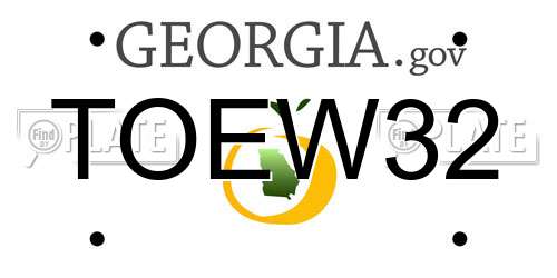 TOEW32 Georgia License Plate