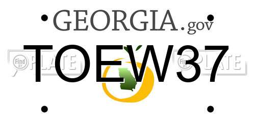 TOEW37 Georgia License Plate