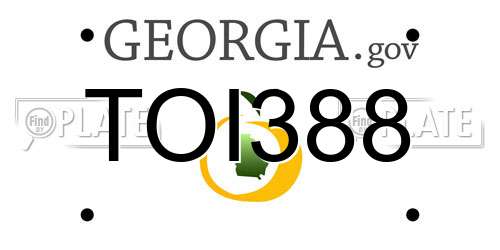 TOI388 Georgia License Plate