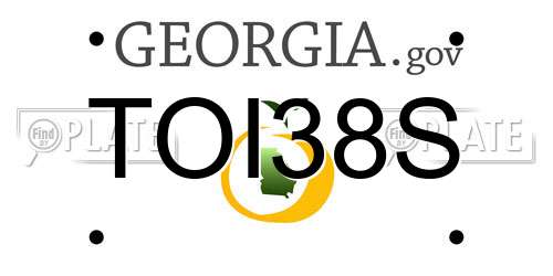 TOI38S Georgia License Plate