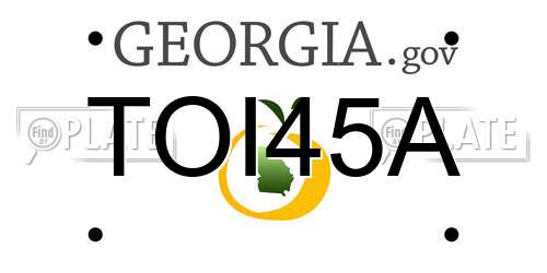 TOI45A Georgia License Plate