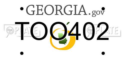 TOO402 Georgia License Plate